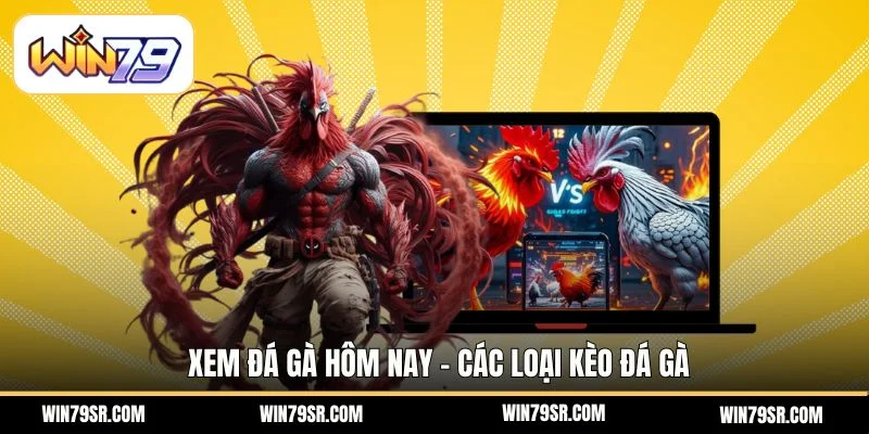 Xem Đá Gà
